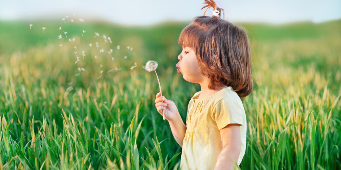 Foster Care Training